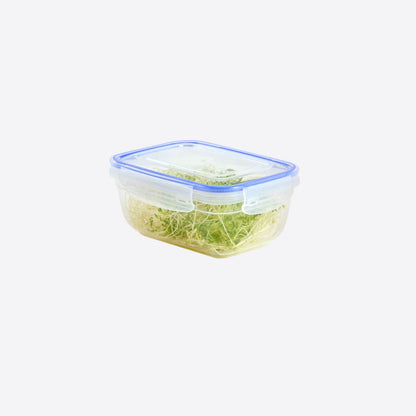 Caixa Hermetica 800ml 30112 – Compacta e empilhável para transportar refeições e snacks com facilidade diária - 8696287301125